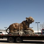 Brenau's new golden tiger rode a flatbed trailer from Eagle Bronze Foundry in Lander, Wyo., where she was cast, to Gainesville. Monte Paddleford, the foundry's owner, drove the statue himself to her granite table top in the park near the intersection of Green and Academy Streets.
