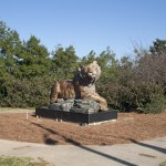 Brenau's new 2,200 pound bronze tiger sculpture is now in place on the Gainesville campus. The tiger was designed by Georgia artist Gregory Johnson and commissioned by Irwin 'Ike' Belk, the North Carolina philanthropist.