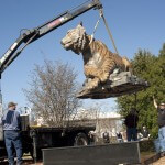 Brenau's new 2,200 pound bronze tiger sculpture is now in place on the Gainesville campus. The tiger was designed by Georgia artist Gregory Johnson and commissioned by Irwin 'Ike' Belk, the North Carolina philanthropist.