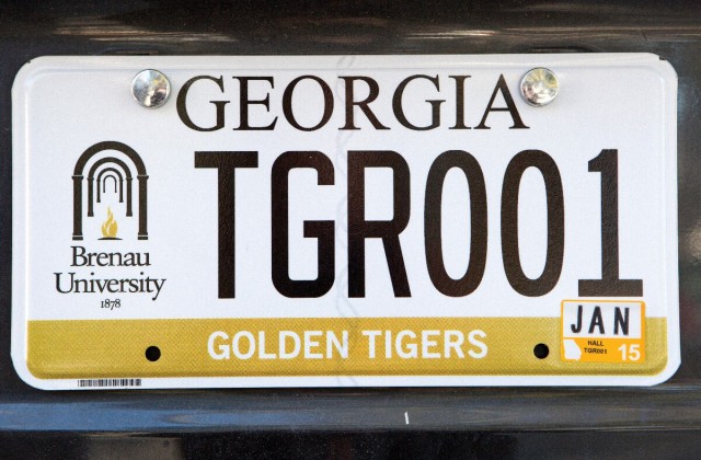 TGR001 Golden Tigers License Plate