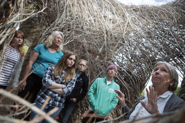 Barbara Faulkner leads a discussion with Ashley Motes, from left, Mary Erna Scovel, Jordan Saylor, Kayla Mullen and Haley Gill at the site of 'Made From Scratch,' a sculpture by artist Patrick Dougherty made entirely from sticks. Several Brenau students and faculty helped with the gathering of the materials and various parts of the installation. (AJ Reynolds/Brenau University)