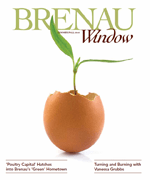 Brenau Window Summer 2010 Cover