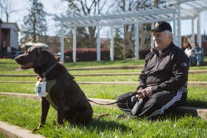 Brenau President Ed Schrader and his chocolate lab Jake during the Dempsey Dash 5K, a race celebrating the memory of Brenau's longtime Executive Vice President and CFO Wayne Dempsey, on Saturday, March 11, 2017. (AJ Reynolds/Brenau University)