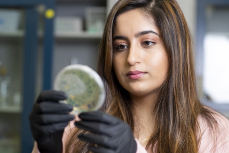 Esha Tasir examines a pteri dish in a lab
